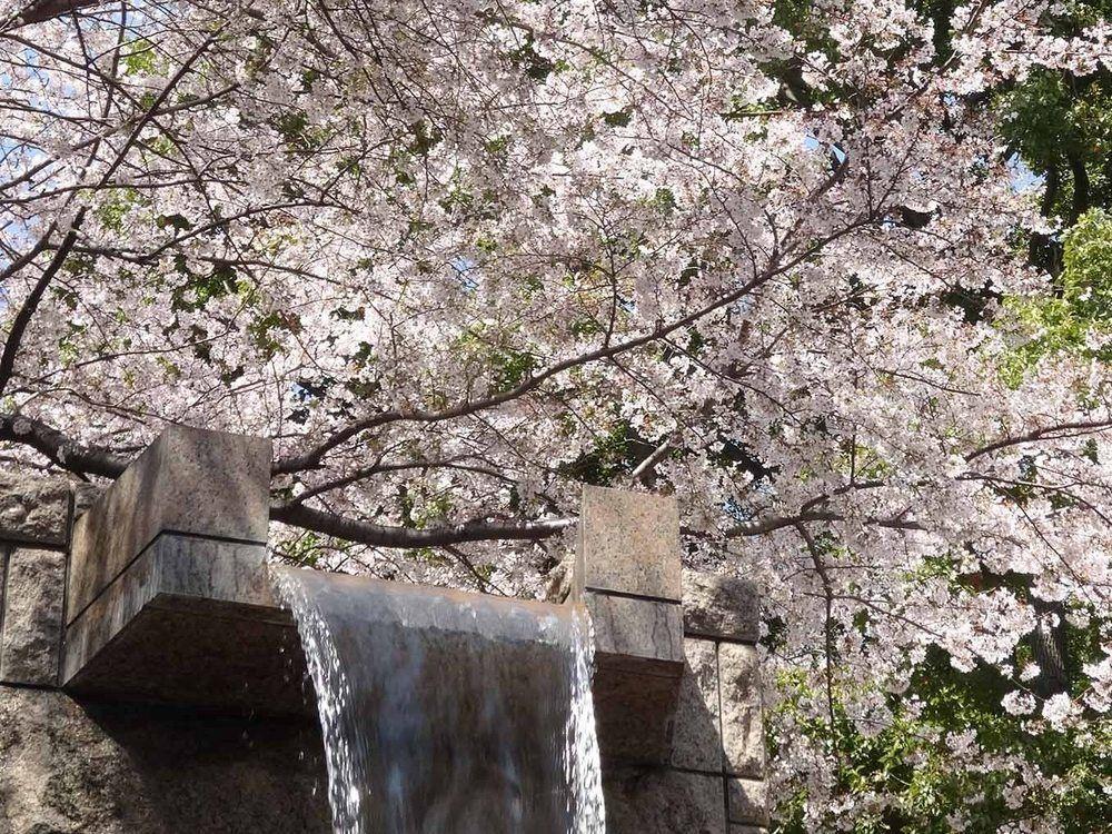 Marriott 4* Tokio
